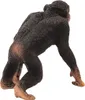 Schleich, Figurine Wildlife Männlicher Schimpanse aus den Produktbild-Vorschau 3