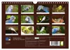Wellensittiche - der NEUE Kalender (Wandkalender 2027 DIN Produktbild-Vorschau 2