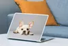 MuchoWow® Laptop Aufkleber Sticker Cover Französische Produktbild-Vorschau 4