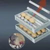Automatische broedmachine met temperatuurregeling en Productafbeelding-voorbeeld 8