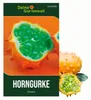 Gurke Kiwano Samen - Cucumis metuliferus - Gurkensamen - Produktbild-Vorschau 1
