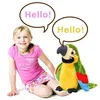 A young girl and a stuffed parrot are sitting together, with speech bubbles indicating they are saying "Hello!". Anteprima dell’immagine prodotto