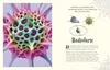 Wundervolle Welt der Natur Anteprima dell’immagine prodotto 6
