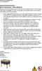A safety instruction manual for a stool with a small image of the stool at the bottom. Produktbild-Vorschau