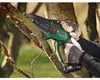 BOSCH Akku-Kettensäge, EasyChain 18V-15-7, 06008B8901, Solo Produktbild-Vorschau 38