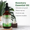 Aliver Rosmarin-Öl für Haare und Haut – 60 ml Produktbild-Vorschau 4