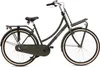 Popal Daily Dutch Basic+ N3 Hollandrad - Citybike - Damen - Produktbild-Vorschau 1
