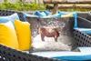 MuchoWow® Outdoor Kissen - Schottisches Hochlandrind - Baum Produktbild-Vorschau 4
