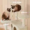 Two Siamese cats are on a beige cat tree with platforms and a hanging toy. Podgląd zdjęcia produktu