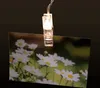 LED Lichterkette mit 50 Clips Wäscheklammern Fotoclip Produktbild-Vorschau 8