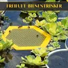 Wasserspender Bienentränke Schwimmende Bee Wabennetz-Cups Produktbild-Vorschau 2