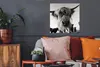 MuchoWow® Poster Schottischer Highlander - Schwarz - Weiß - Produktbild-Vorschau 2