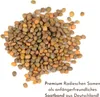 5m Saatband Radieschen Samen (Radies Riesenbutter Vitessa) Produktbild-Vorschau 2