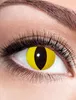 Kontaktlinsen Zoelibat Eyecatcher Yellow Cat – 12 Monate Produktbild-Vorschau 4