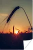 MuchoWow® Poster Gras - Herbst - Sonnenuntergang - Produktbild-Vorschau 1