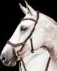 Horseware Ireland Trense Micklem 2 Competition Bridle Produktbild-Vorschau 1