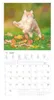 A cat is jumping in a field of grass and autumn leaves, with a calendar page below it. Produktbild-Vorschau