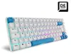 Sharkoon SKILLER SGK50 S3 PBT, Kabelgebunden, USB, Produktbild-Vorschau 7