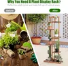 A split image showing a 'before' and 'after' of plant organization. The 'before' side shows plants and gardening supplies scattered on a wooden surface, while the 'after' side displays a wooden plant stand with several potted plants arranged on it. Náhled obrázku produktu