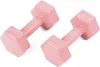 Two pink dumbbells are shown on a white background. Produktbild-Vorschau