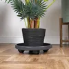 Vaso da fiori su ruote: materiale durevole e facile da Anteprima dell’immagine prodotto 13
