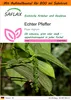 SAFLAX - Garden in the Bag - Kräuter - Echter Pfeffer - 20 Produktbild-Vorschau 1