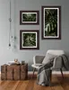 Bilderrahmen Bergamo - 40x60 cm, Eiche Dunkel Nachbildung, Produktbild-Vorschau 3