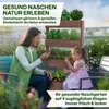 TTL GARDEN Vertikal Hochbeet 4 Etagen Holz – Kräuterbeet Produktbild-Vorschau 5