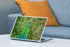 MuchoWow® Laptop Aufkleber Sticker Cover Nahaufnahme - Pfau Produktbild-Vorschau 4
