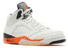 Schoenen Nike Jordan 5 Retro Shattered Backboard DC1060100 Productafbeelding-voorbeeld 7