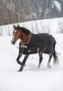 BUCAS Anniversary Turnout Stay Dry 150g black/Silver Produktbild-Vorschau 10