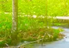 Immagine acustica paesaggio naturale 200x100 cm immagini Anteprima dell’immagine prodotto 3