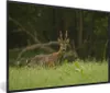 MuchoWow® MuchoWow® Gerahmtes Poster Hirsche - Gras - Wald Produktbild-Vorschau 1