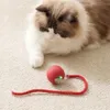Interaktiver Spielball für Katzen und kleine Hunde, Produktbild-Vorschau 2