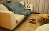 A cozy living room scene with a blanket draped over a sofa, slippers on the floor, and a coffee table. Podgląd zdjęcia produktu