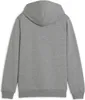 Puma Teamgoal Kapuzenpullover Kinder - Hellgrau Meliert Produktbild-Vorschau 2