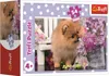 The image shows the packaging of a puzzle featuring a Pomeranian puppy with flowers. Produktbild-Vorschau