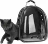 A gray cat is partially emerging from a transparent and black pet carrier backpack. Podgląd zdjęcia produktu