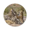 MuchoWow® Mauspad Mousepad Junge Tiger spielen im Wasser Produktbild-Vorschau 1