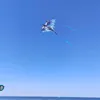 Simxkai Drachen für Kinder und Erwachsene zum Fliegen, blau Produktbild-Vorschau 4