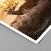 Poster - Poster ohne Rahmen - Deer Heidekraut Tier - 50x40 Produktbild-Vorschau 2