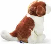 A plush toy dog sitting on a white background. Podgląd zdjęcia produktu