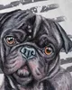 style3 Mops Herren T-Shirt hundeliebhaber züchter sommer Produktbild-Vorschau 2