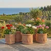 Teramico "Cilindro Cipressi" Blumentopf Terracotta Produktbild-Vorschau 4