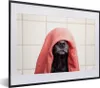 MuchoWow® MuchoWow® Gerahmtes Poster Hund mit einem roten Produktbild-Vorschau 1