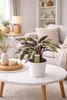 A potted Calathea Fusion White plant is placed on a coffee table in a living room setting. Anteprima dell’immagine prodotto