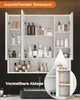 A bathroom cabinet filled with various toiletries and cleaning products, with a sink and faucet visible below. Voir les images du produit