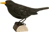 Wildlife Garden Dekovogel Amsel Produktbild-Vorschau 2