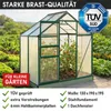 BRAST Gewächshaus Aluminium mit Fundament | 130x190x195cm Produktbild-Vorschau 8