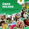 Dutch Bulbs Tulpenzwiebeln Winterhart Mehrjährig Doppelte - Produktbild-Vorschau 5
